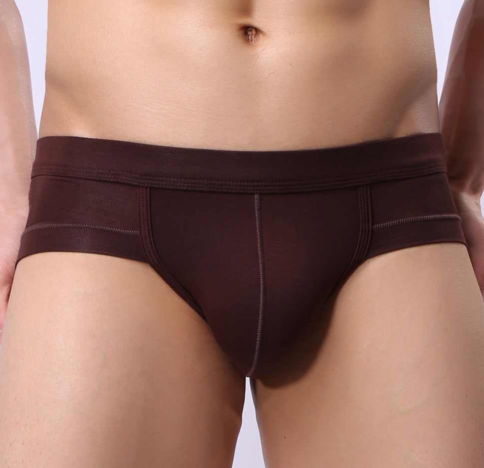 Men's Underwear Briefs U-Shaped Pocket Low-Rise Briefs Briefs