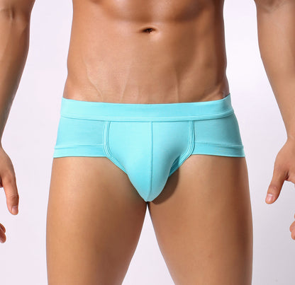 Men's Underwear Briefs U-Shaped Pocket Low-Rise Briefs Briefs