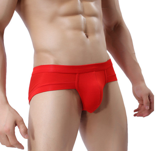 Men's Underwear Briefs U-Shaped Pocket Low-Rise Briefs Briefs