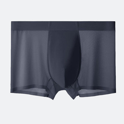 Men's summer underwear 120 ultra-thin cool ice silk underwear boys breathable seamless boxer briefs