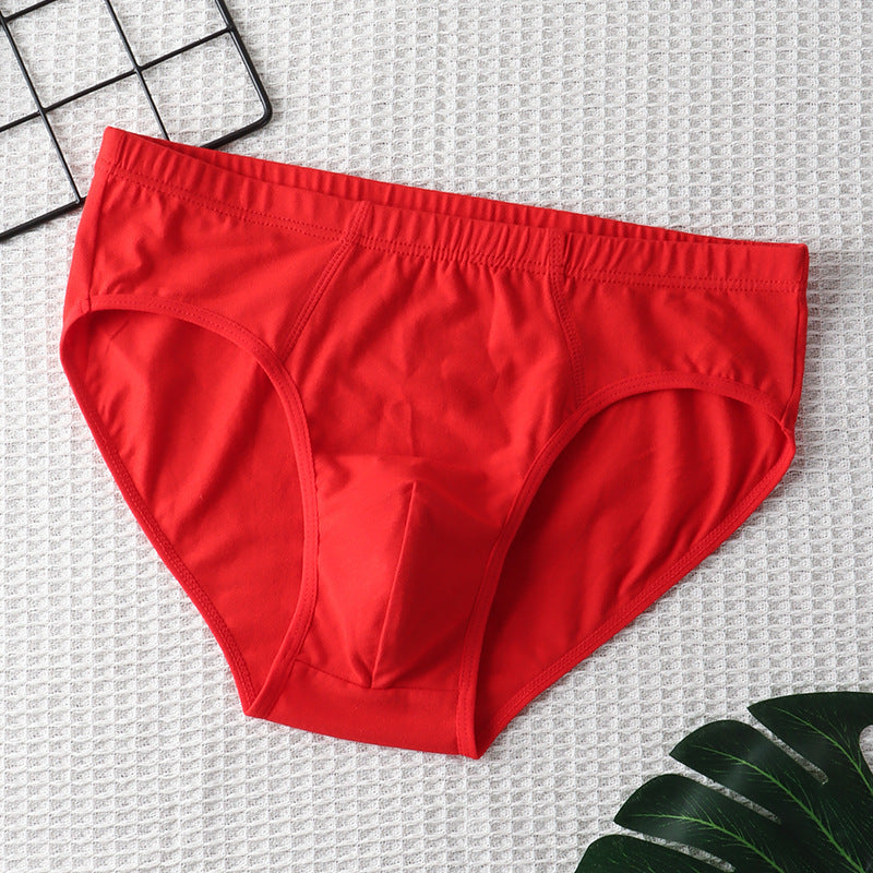 Men's underwear men's briefs pure cotton breathable mid-waist cotton fabric large size youth shorts bottoms men's