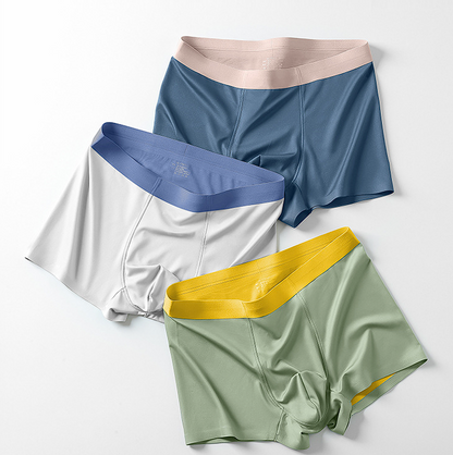 Spring and summer 100S men's underwear seamless modal silk antibacterial crotch high-end underwear boys' mid-waist boxer briefs